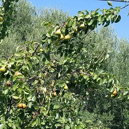 In Ξενοδοχείο Vergia